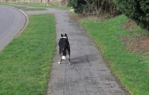 Bhz75Q2CUAArMaw